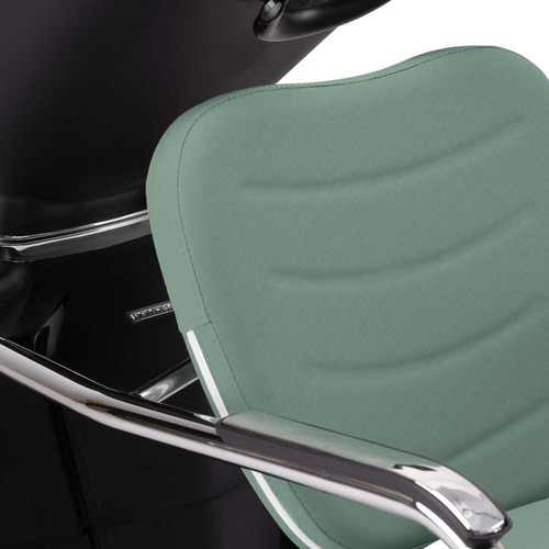 Lavatório De Cabelo Com Cuba Reclinável Dompel Preto/verde