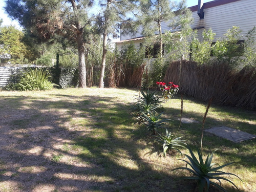 En Alquiler Temporada! Cabaña Cambalache, Casa De Madera, Monoambiente. A 350mts. De La Playa, Zona La Viuda, Para 2 O 3 Adultos, Punta Del Diablo, Rocha, Uruguay.