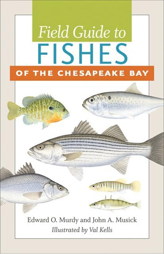 Libro: Field Guide To Fishes Of The Chesapeake Bay