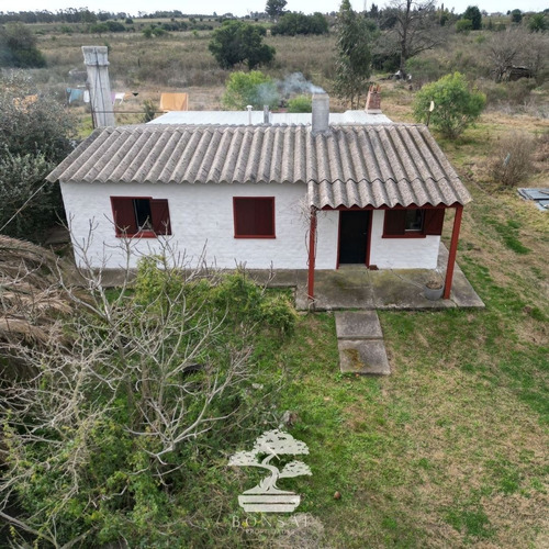 - Venta Chacra Con Casa La Macana Florida Mp.