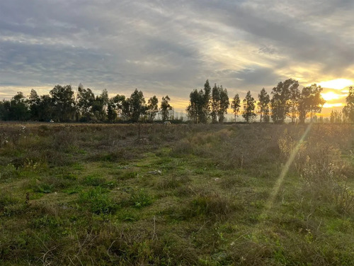 Parcelas A 2 Minutos De Villa Alegre, 25 De Talca, 60 Cuotas