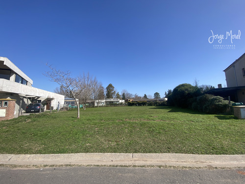Lote Interno #300-400 - San Matias - Area 2 - 1003m2 #id 12844