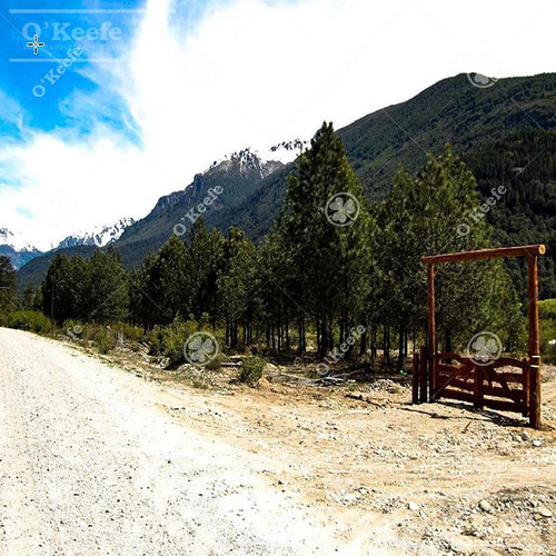 Imagen 3 de 17 de Chacra / Fracción En Venta En Patagonia Argentina - 12 Has Sobre Rio - Fly Fishing Pesca Con Mosca.