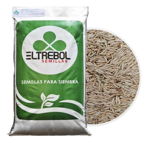 Semilla De Avena Para Sembrar O Germinados (10 Kg)