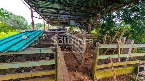 Imagen 10 de 27 de Amplia Finca, Colinas De San Benito - El Vigía