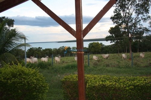 Imagem 10 de 20 de Fazenda Em Felixlândia - Mg - 6348