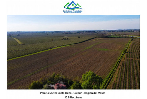 Parcela Agricola De 15.8 Hectareas En Panimavida, Colbun