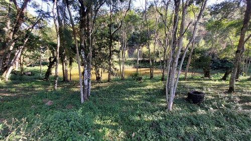 Imagem 4 de 4 de Terreno Com Lago 24.000 M² Acesso Asfaltado