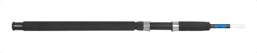 Vara Saint Pantanal 1802-sp 30-60lbs 1,80m 2 Partes