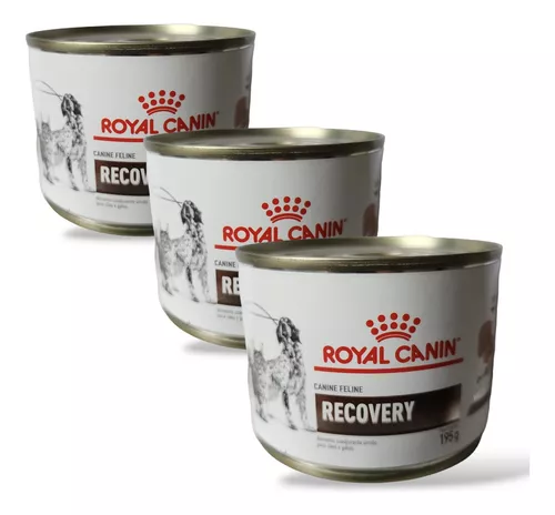 Royal Canin Recovery Alimento Cães E Gatos 195g Kit 3 Latas