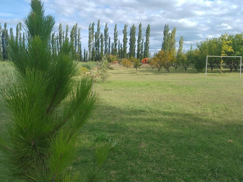 Imagen 6 de 8 de Campo - General Alvear