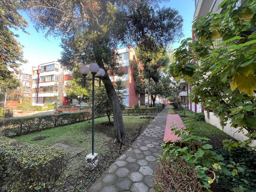 Espacioso Y Hermoso Departamento En Barrio Italia