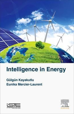 Libro Intelligence In Energy - Gulgun Kayakutlu