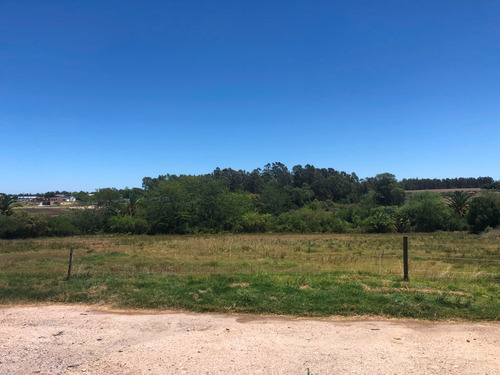 Gran Ubicación!! Venta De Galpón De 400 M2 Y Oficinas A Metros De Ruta 1, Ecilda Paullier.