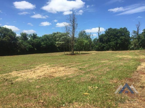 Imagem 2 de 6 de Terreno À Venda, 5000 M² Por R$ 600.000,00 - Distrito Espírito Santo - Londrina/pr - Te0507