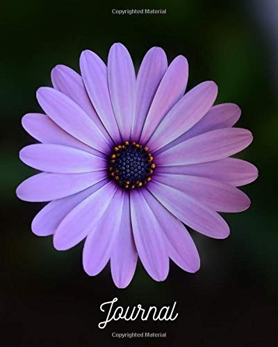 Journal Blank Lined Notebook 8x10 Purple Daisy Flower Bloom 