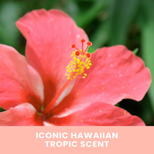 Loción Bronceadora Sin Sol Hawaiian Tropic Gradual Tan 375 M