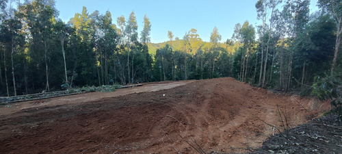 Parcela En Concepción A 5 Minutos Collao Después D Palomares