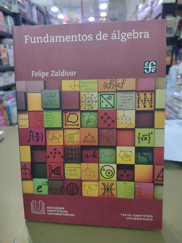 Fundamentos De Álgebra Felipe Zaldívar 