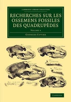 Recherches Sur Les Ossemens Fossiles Des Quadrupedes 4 Vo...