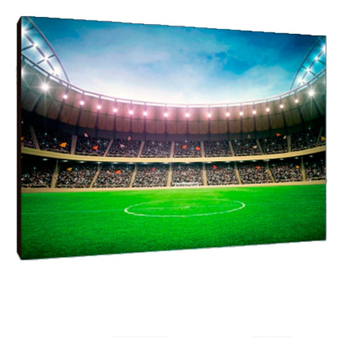 Cuadros Poster Deportes Futbol Estadios S 15x20 (ute (10))