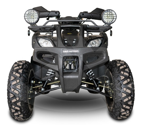 Imagen 3 de 9 de Atv Humer 250 Tao Motor