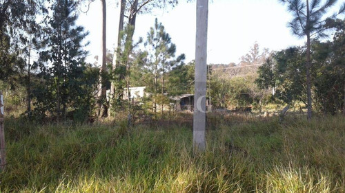 Imagem 1 de 3 de Terreno Bem Localizado No Parque Florestal - Te0295