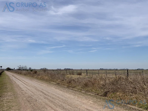 Excelente Campo Agricola De 62,73 Has.