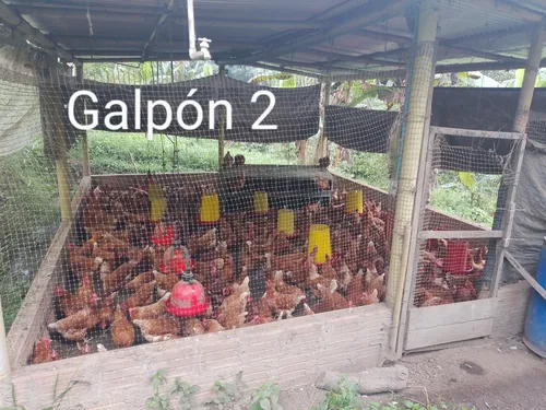 Vendo O Permuto Finca