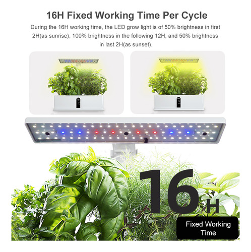 Kit Hydroponics Gg System Para Jardín De Hierbas Para Inter
