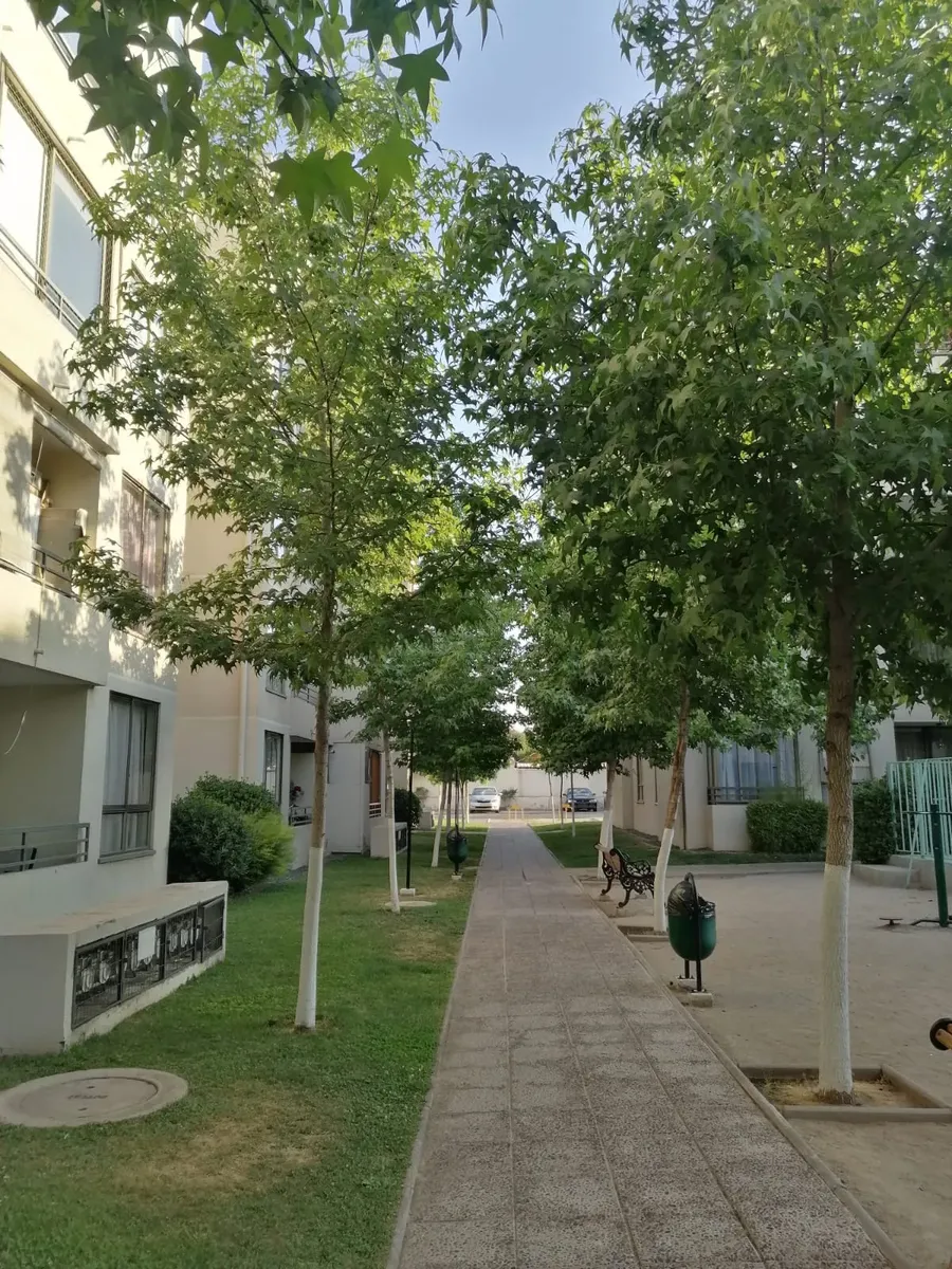 Imagen 4 de 16 de Depto 2d/1b/1est Condominio Cercano A Metro