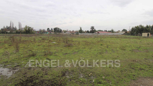 Terreno En Doñihue