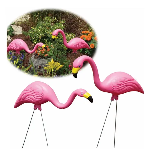 2 Count Flamenco Color Rosa