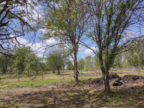 Imagen 2 de 4 de Terreno - Chacras Del Ocho