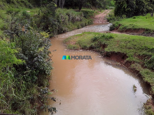 Imagem 10 de 15 de Fazenda - Zona Rural - Ref: 3829 - V-mta3829