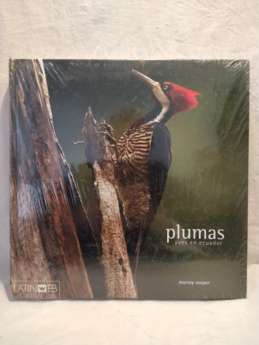 Plumas Aves En Ecuador Murray Cooper Latin Web B 