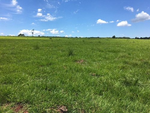 Imagen 13 de 21 de Lote En Venta 1219m2 En Puerto Rico - Loteo Clemens Blick