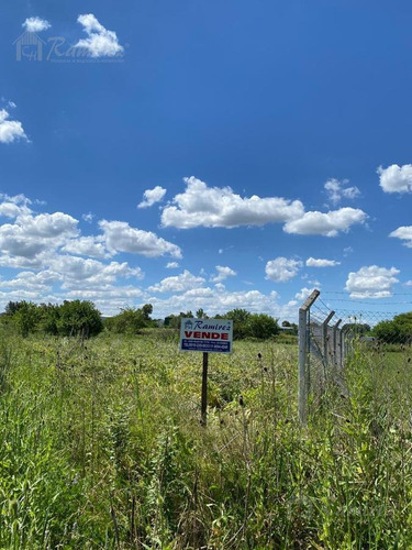 Imagen 1 de 3 de Lote En Venta 2000 M2 A 200 Mts. Acceso Oeste - Francisco Alvarez, Moreno