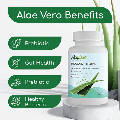Aloecure Probiótico + Cápsulas Enzimas Con Prebióticos, 2.4
