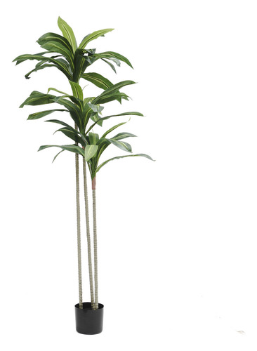 Planta Artificial Decoración Palo De Agua 160cm
