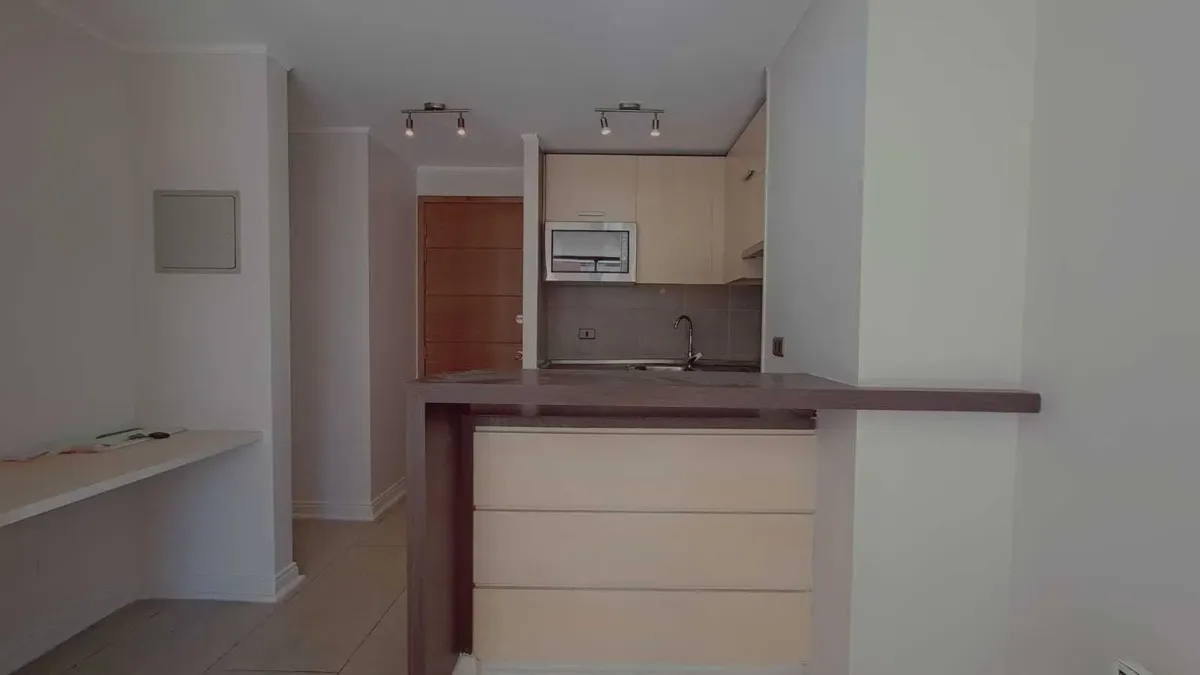 Imagen 4 de 16 de Departamento En Venta, Santiago (147470)