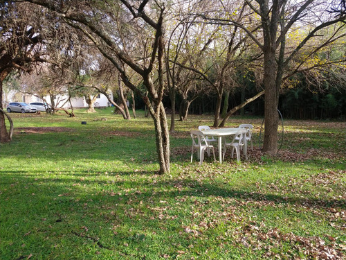 Complejo Importante Parque Zona Entre Colón Y San José