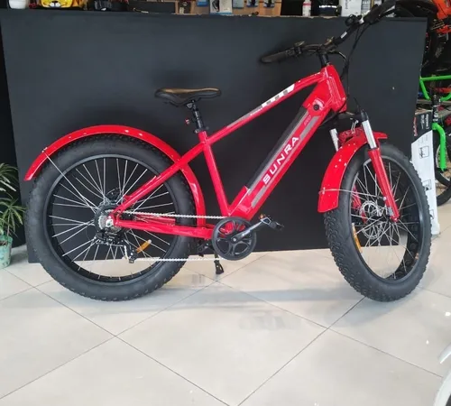 Bicicleta De Tres Ruedas / Triciclo / Tricargo Rodado 20 - $ 5.500,00 en  Mercado Libre