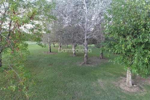 Imagen 20 de 30 de Terreno Campo En Venta O Permuta Ubicado En Baradero, Resto De La Provincia, Buenos Aires