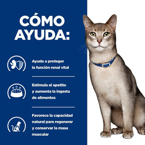 Hills Prescription Felino Lata K/d 156 G