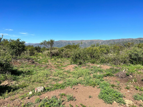 Tres Hectareas En San Francisco Del Monte De Oro.