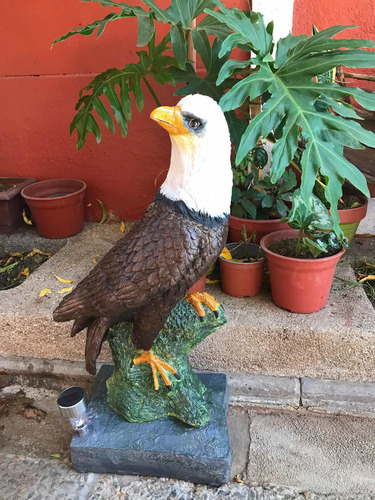 Águila Gigante Solar De Jardín Espectacular Envio Grat | Cuotas sin interés
