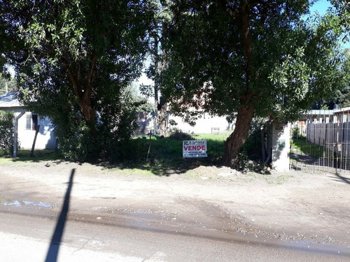 Imagen 4 de 10 de Latorre Prop. Vende Lote Sobre Av. Beltran C/mejoras -planos- Escriturado