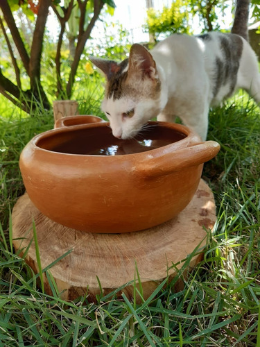 Panela De Água Fresca Para Cães Gatos Bebedouro Pet Animais