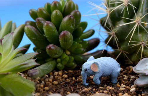 Juego De Decoración De Macetas Con Bricolaje Elefante 10pcs